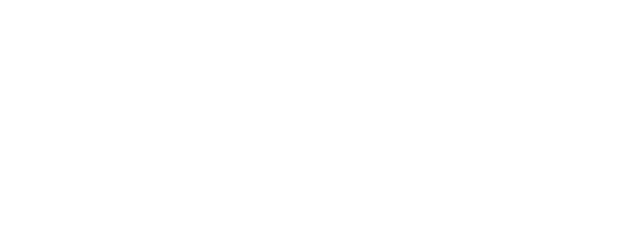 Limón Lawn Care Solutions logo